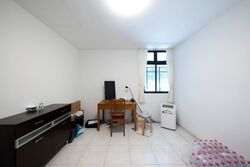 Canary Park (D16), Terrace #377510711